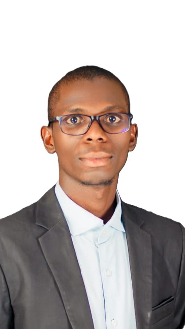 Stable Bricks CEO